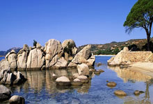 球速体育-包含德布劳内新星大比分获胜表现突出，塞尔维亚队前途光明！观众掌声雷动的词条